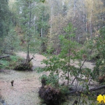 Экологическая тропа «Тайны чувашского леса»