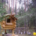 Экологическая тропа «Тайны чувашского леса»